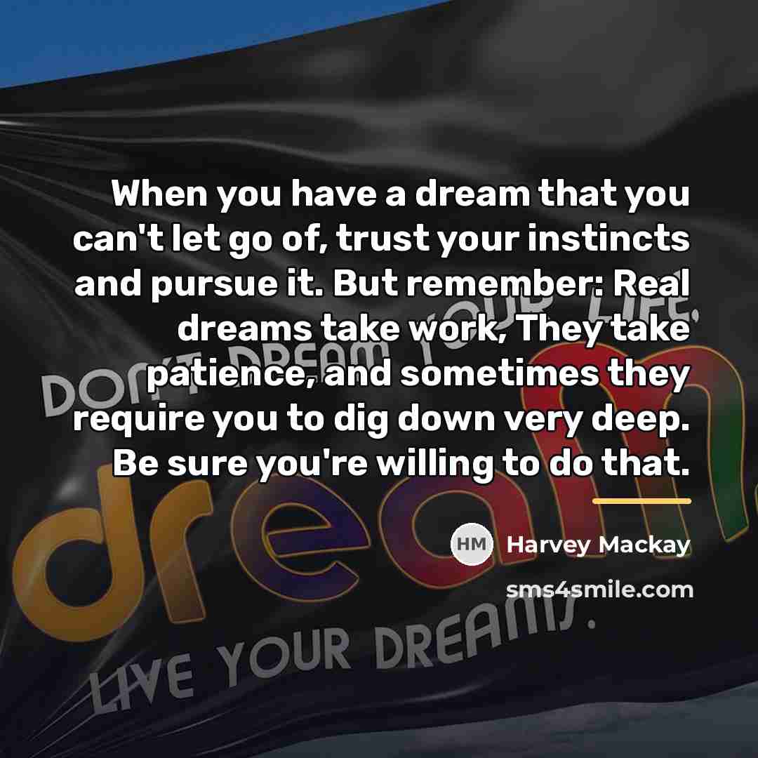 “When you have a dream that you can't let go…” quote by Harvey Mackay