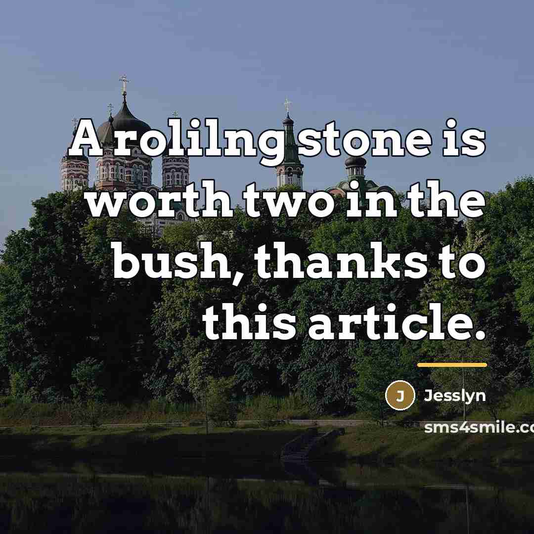 “A rolilng stone is worth two in the bush, thanks…” quote by Jesslyn