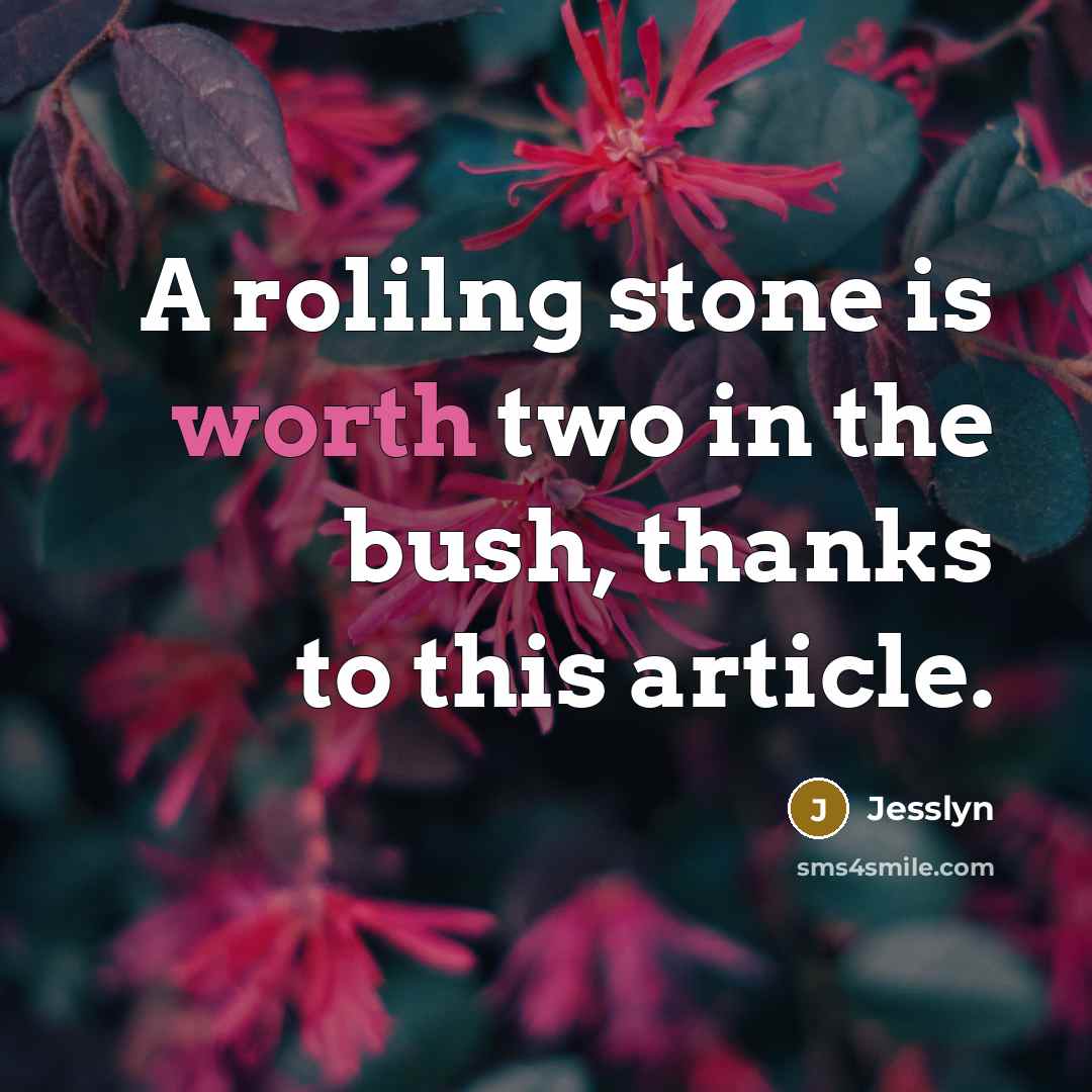 “A rolilng stone is worth two in the bush, thanks to this article.” quote by Jesslyn