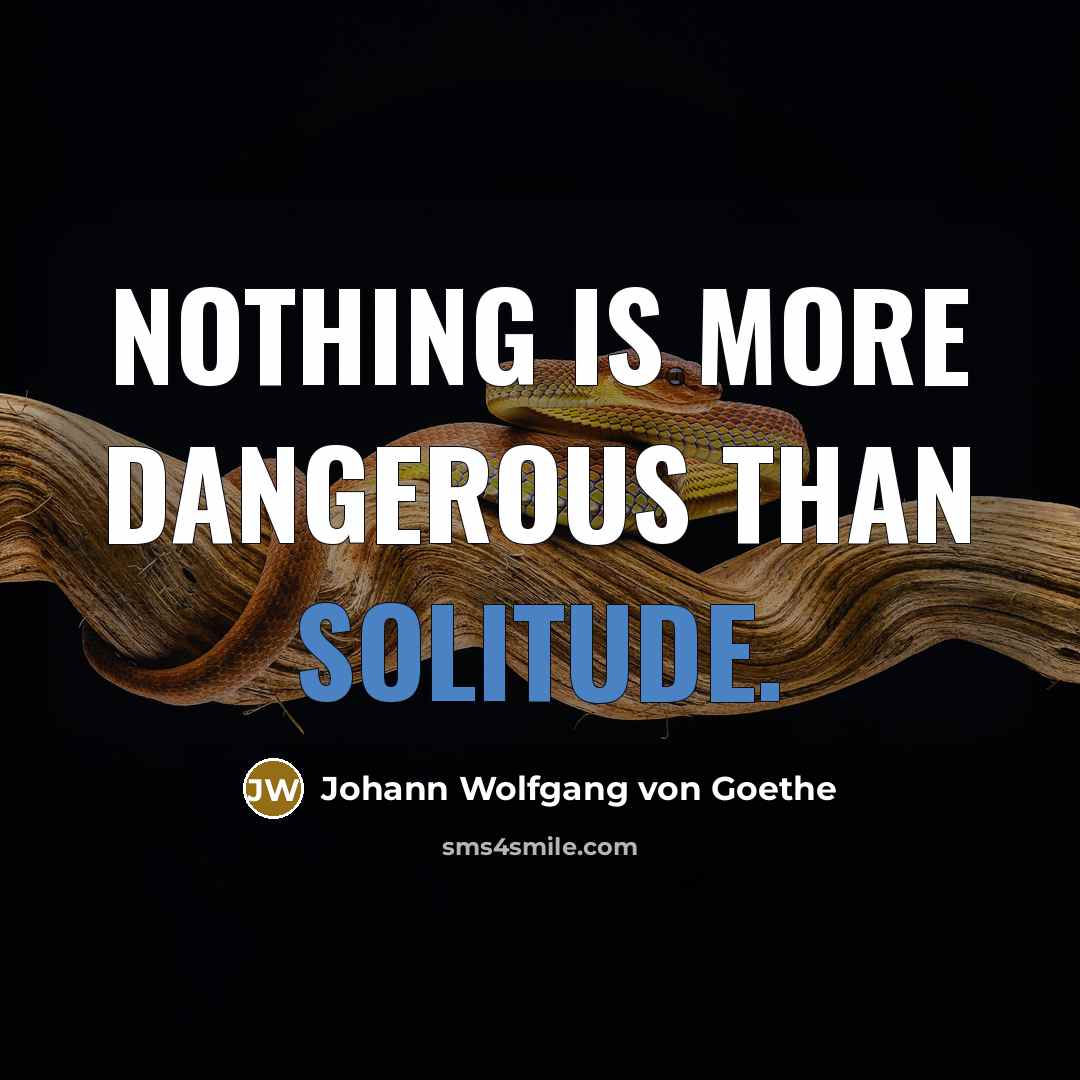 “Nothing is more dangerous than solitude.…” quote by Johann Wolfgang von Goethe