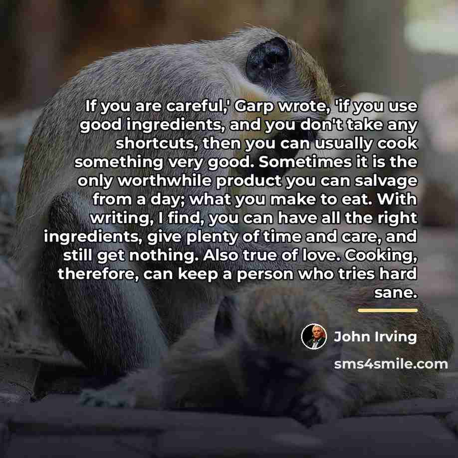 “If you are careful,' Garp wrote, 'if you use good…” quote by John Irving