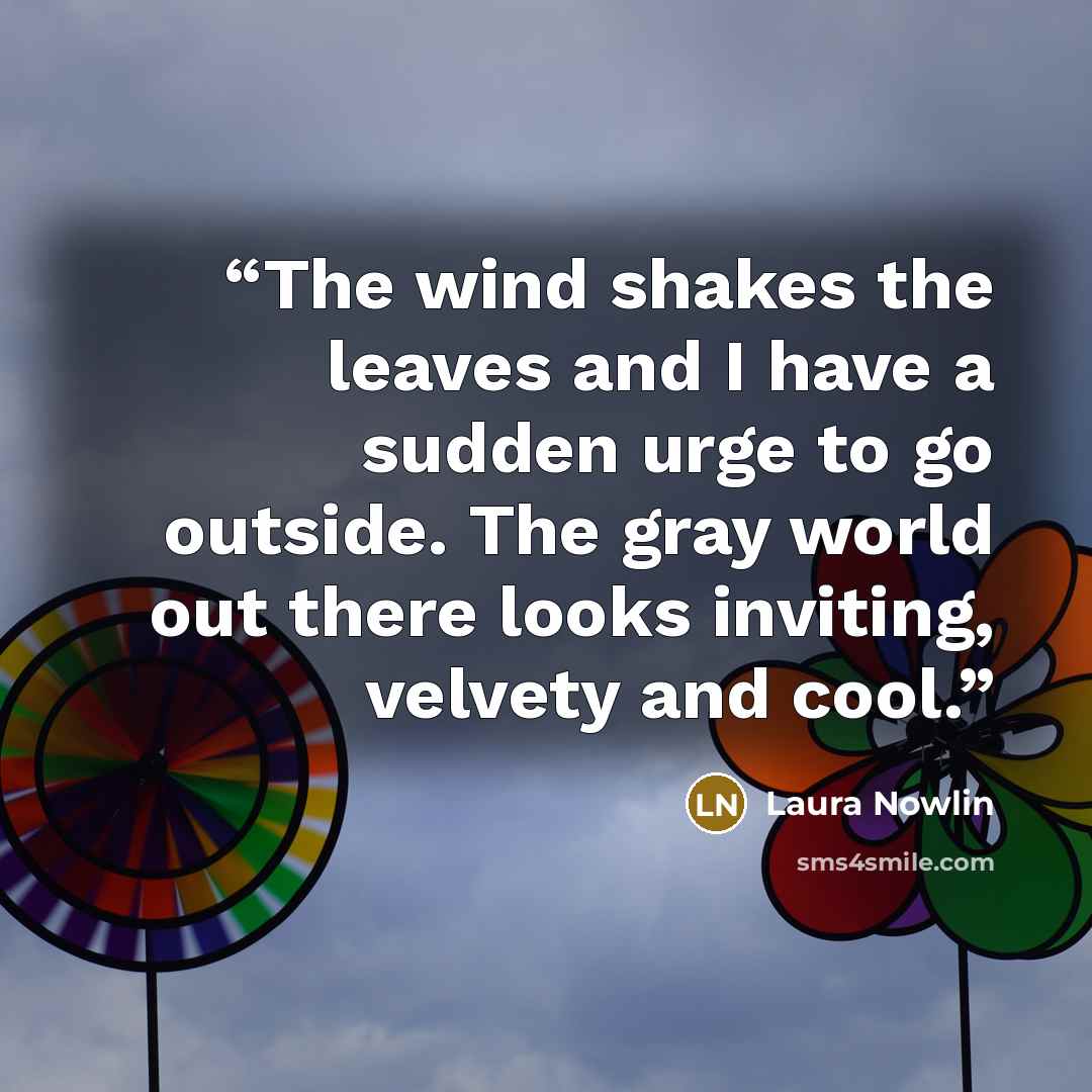 “The wind shakes the leaves and I have a sudden urge to go outside. The gray world out there looks inviting, velvety and cool.” quote by Laura Nowlin