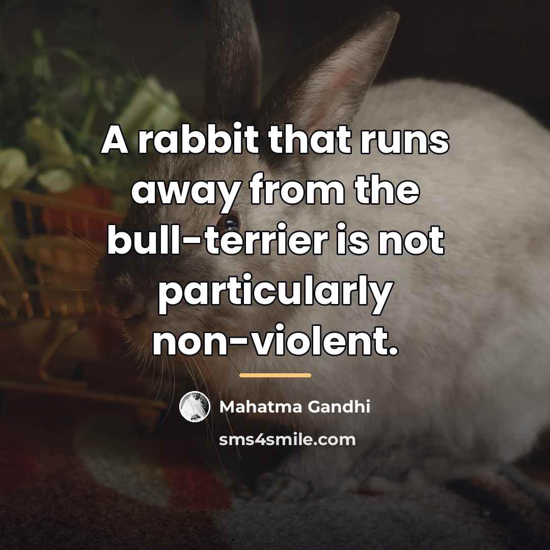 “A rabbit that runs away from the bull-terrier is not…” quote by Mahatma Gandhi
