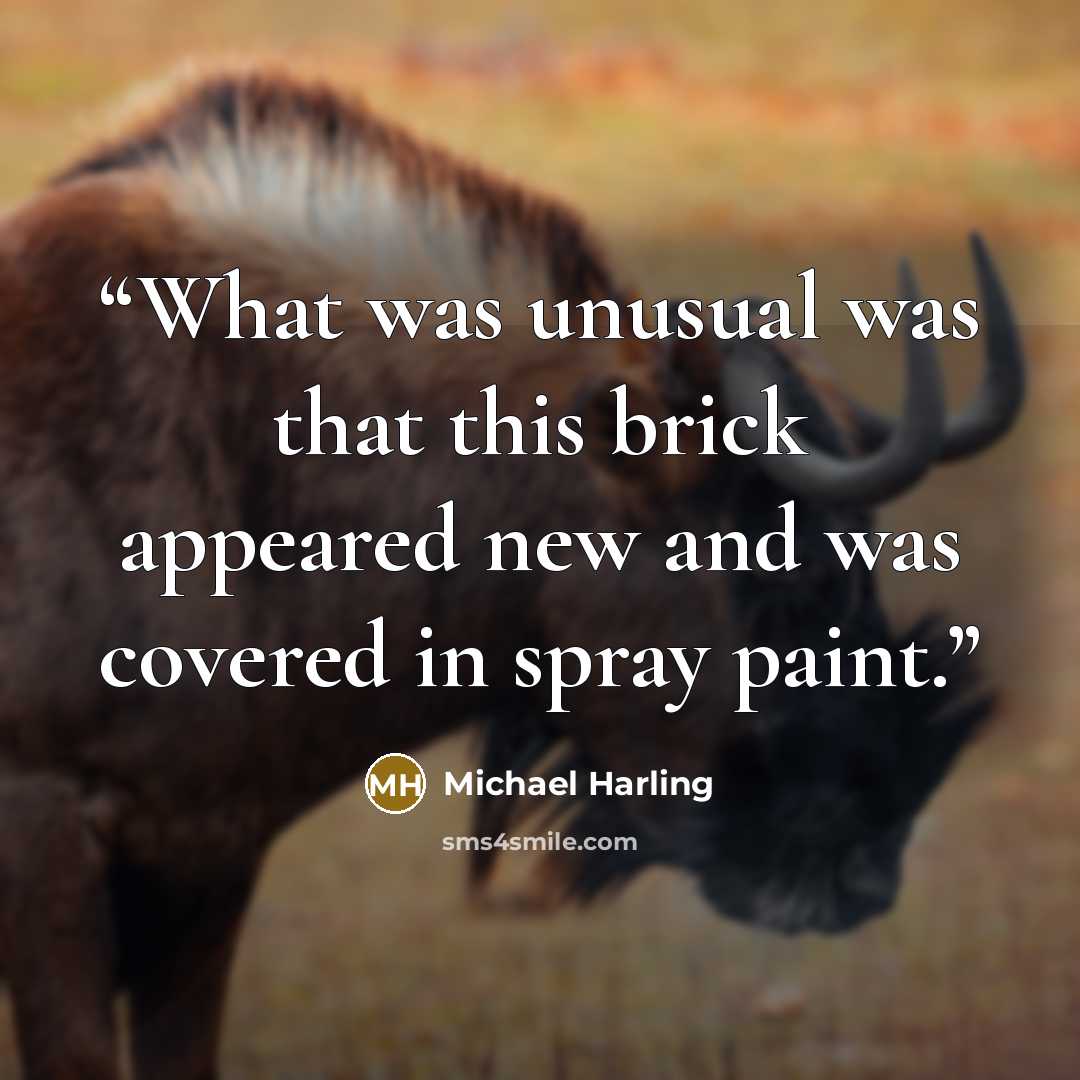 “What was unusual was that this brick appeared new and was covered in spray paint.” quote by Michael Harling