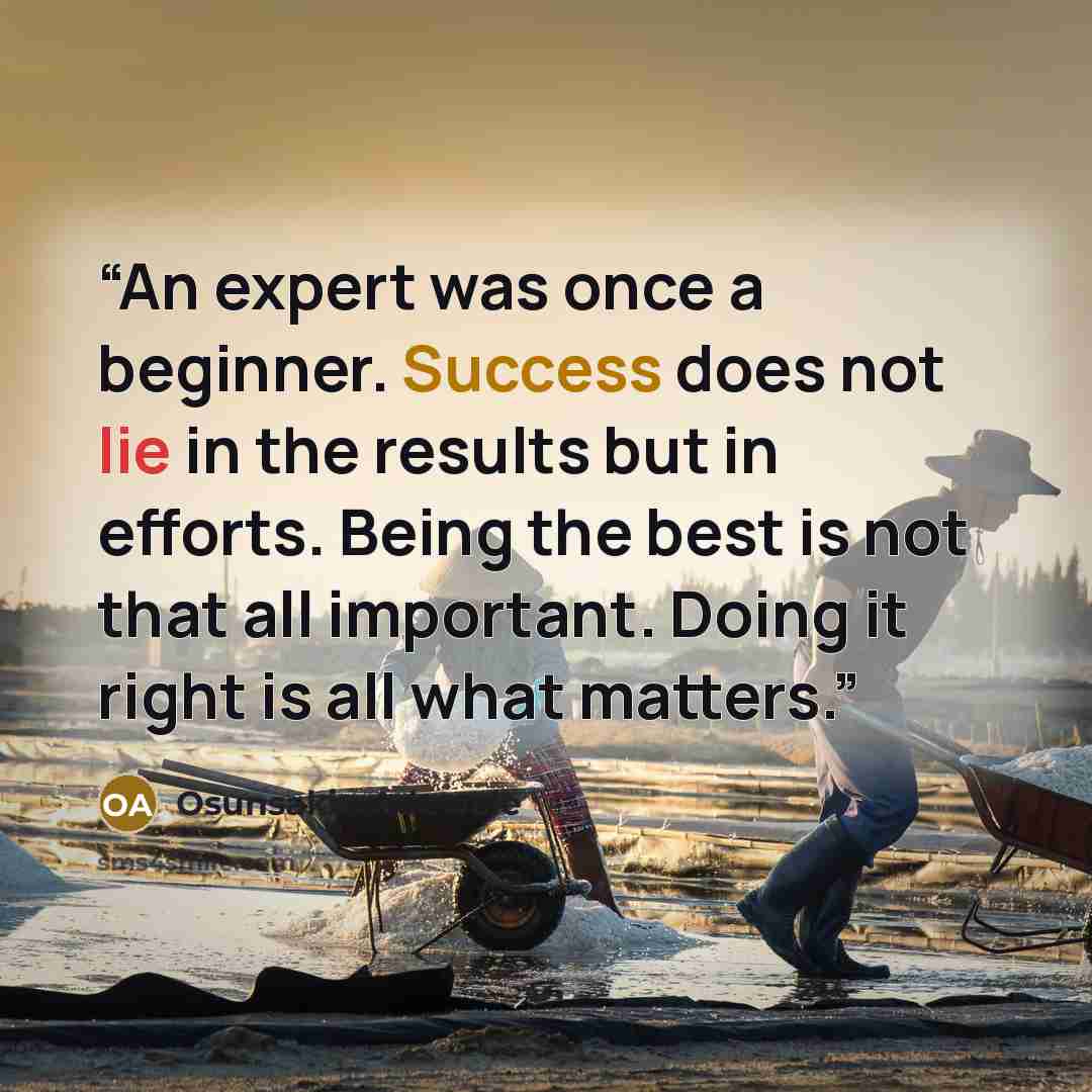 “An expert was once a beginner. Success does not lie in the results but in efforts. Being the best is not that all important. Doing it right is all what matters.” quote by Osunsakin Adewale