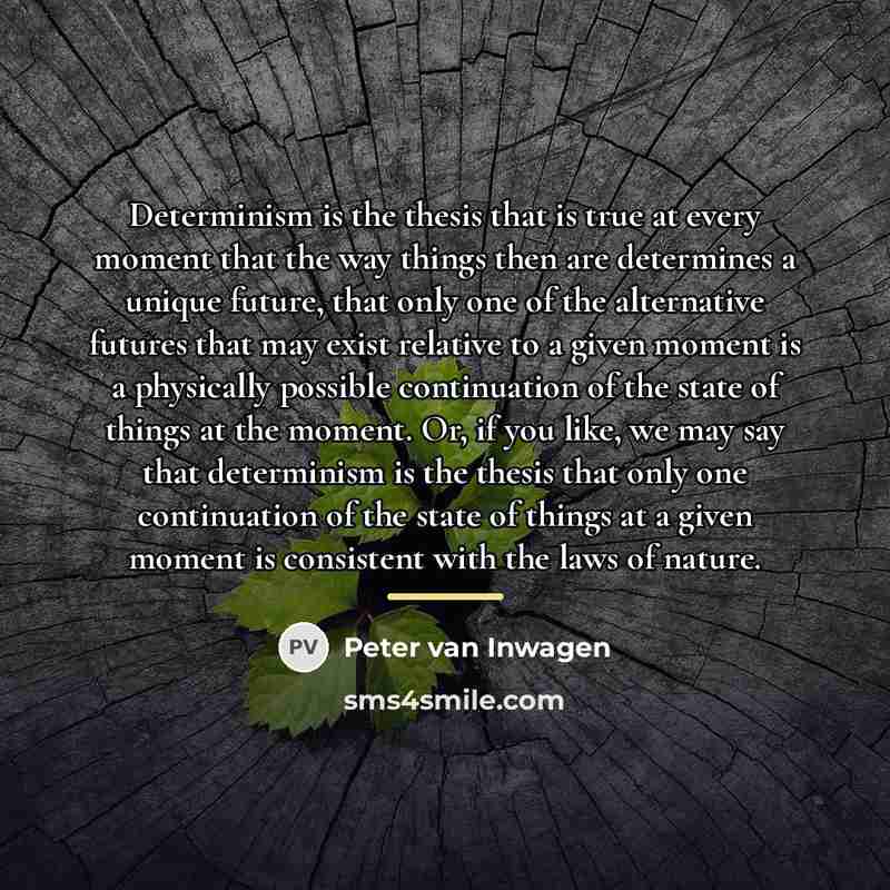 “Determinism is the thesis that is true at every moment…” quote by Peter van Inwagen