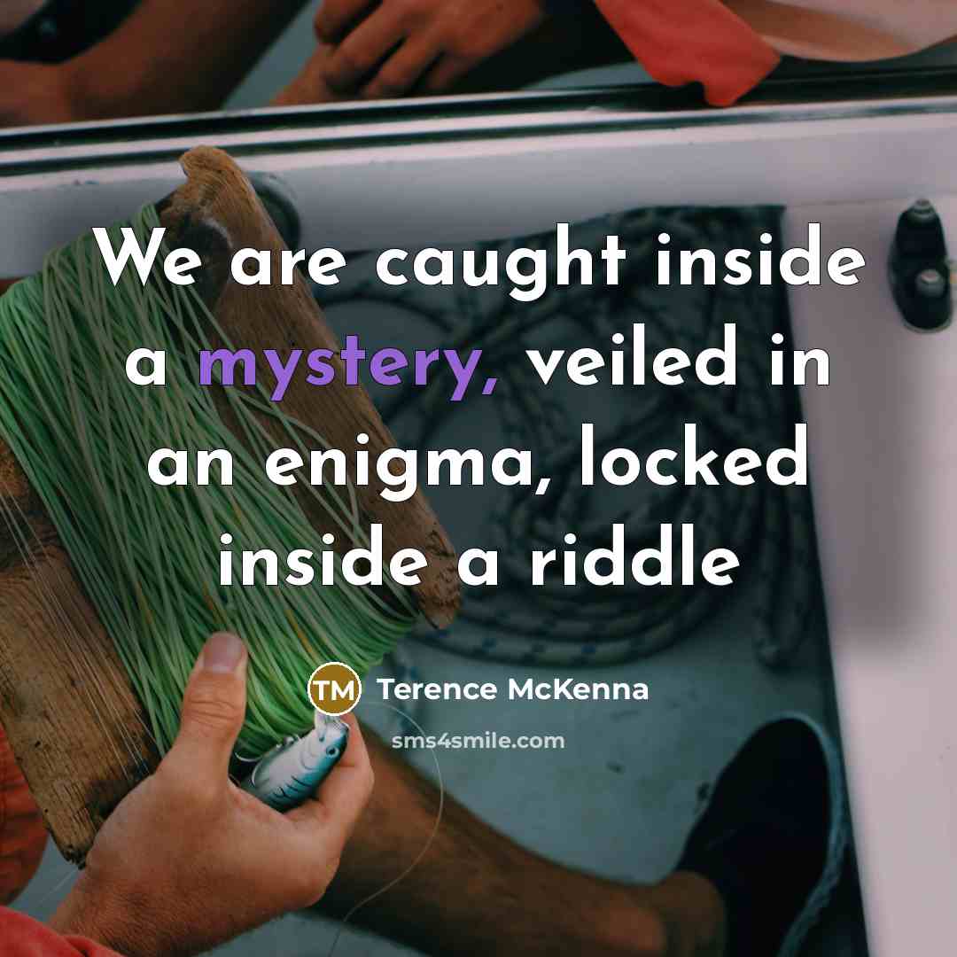 “We are caught inside a mystery, veiled in an enigma,…” quote by Terence McKenna