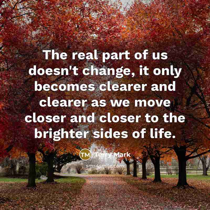 “The real part of us doesn't change, it only becomes…” quote by Terry Mark