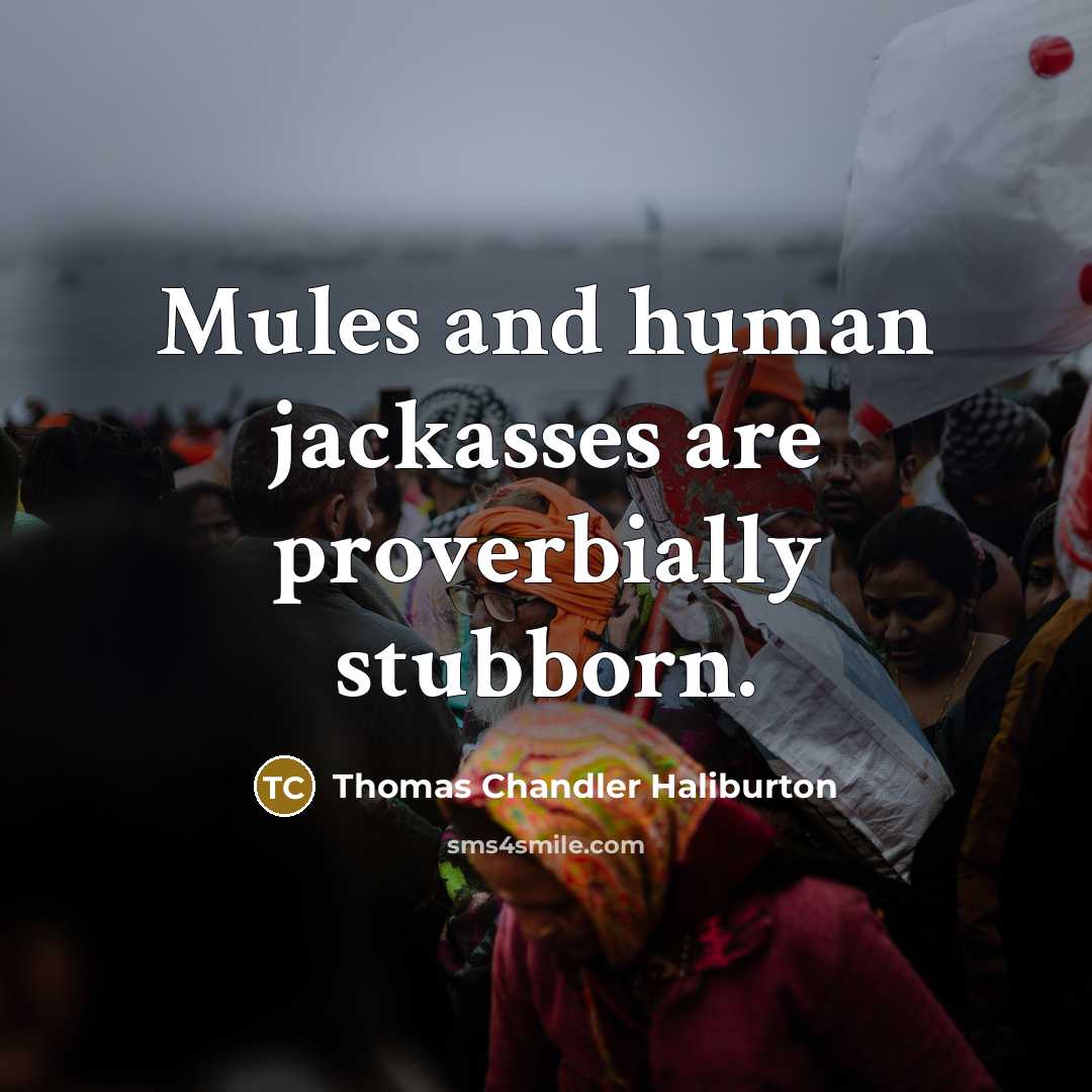 “Mules and human jackasses are proverbially stubborn.…” quote by Thomas Chandler Haliburton