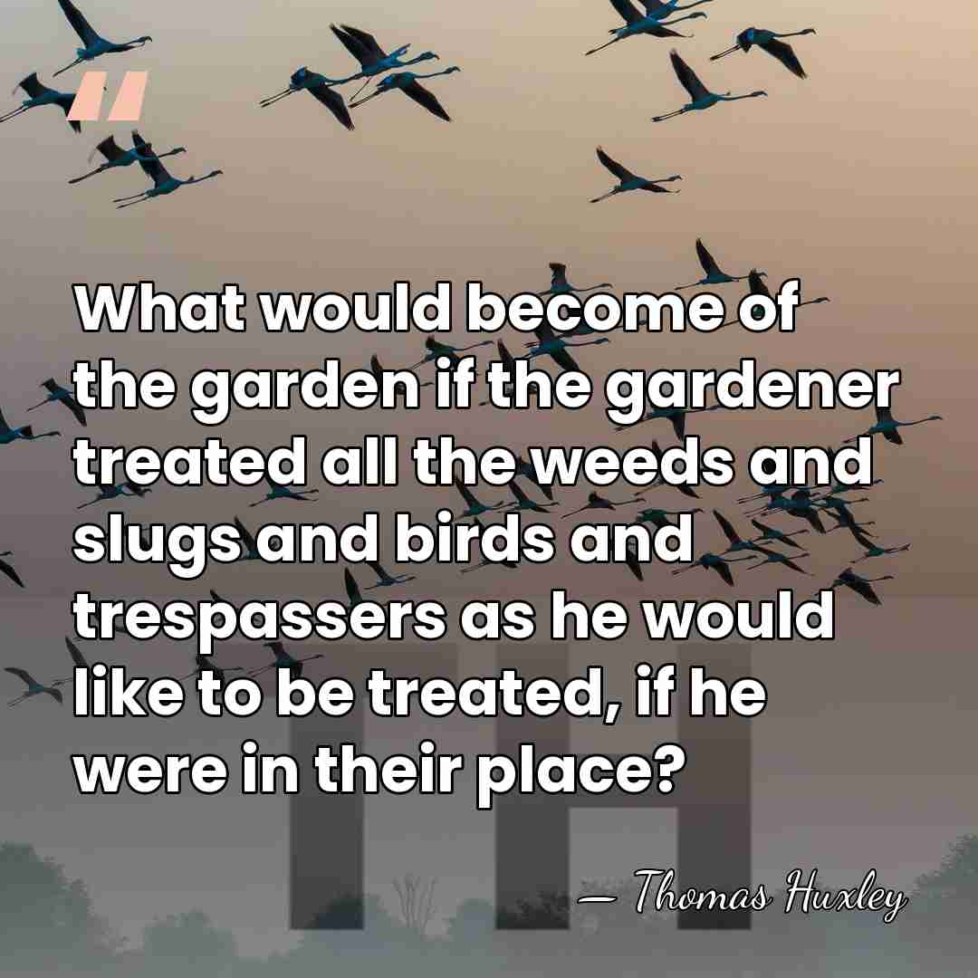 What would become of the garden if the gardener treated all the&hellip; - Thomas Huxley