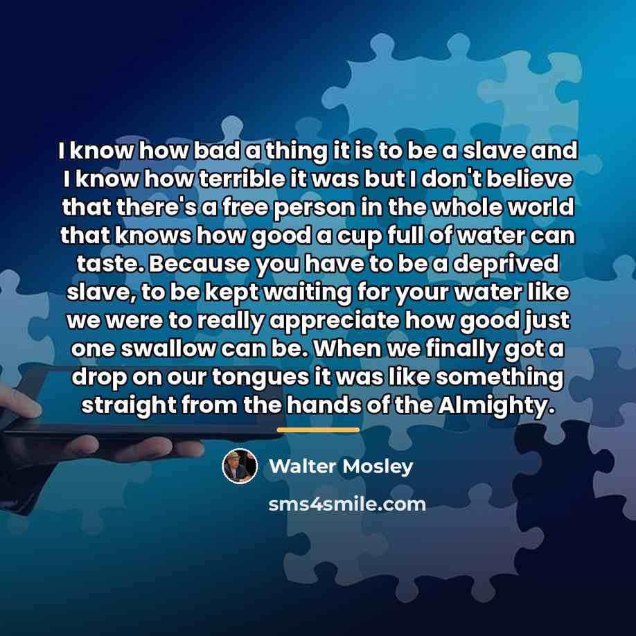 “I know how bad a thing it is to be…” quote by Walter Mosley
