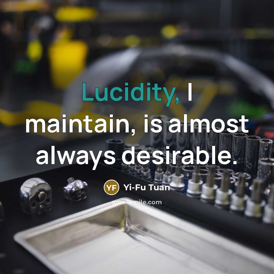 “Lucidity, I maintain, is almost always desirable.…” quote by Yi-Fu Tuan