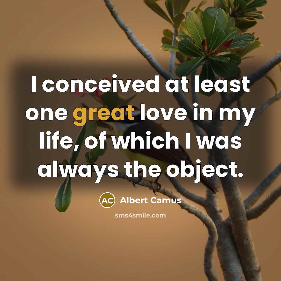 “I conceived at least one great love in my life,…” quote by Albert Camus