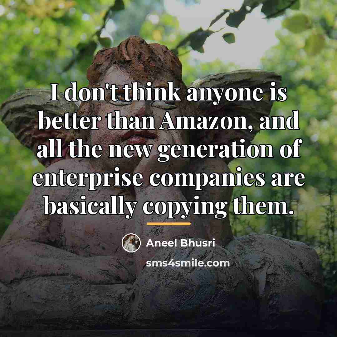 “I don't think anyone is better than Amazon, and all…” quote by Aneel Bhusri