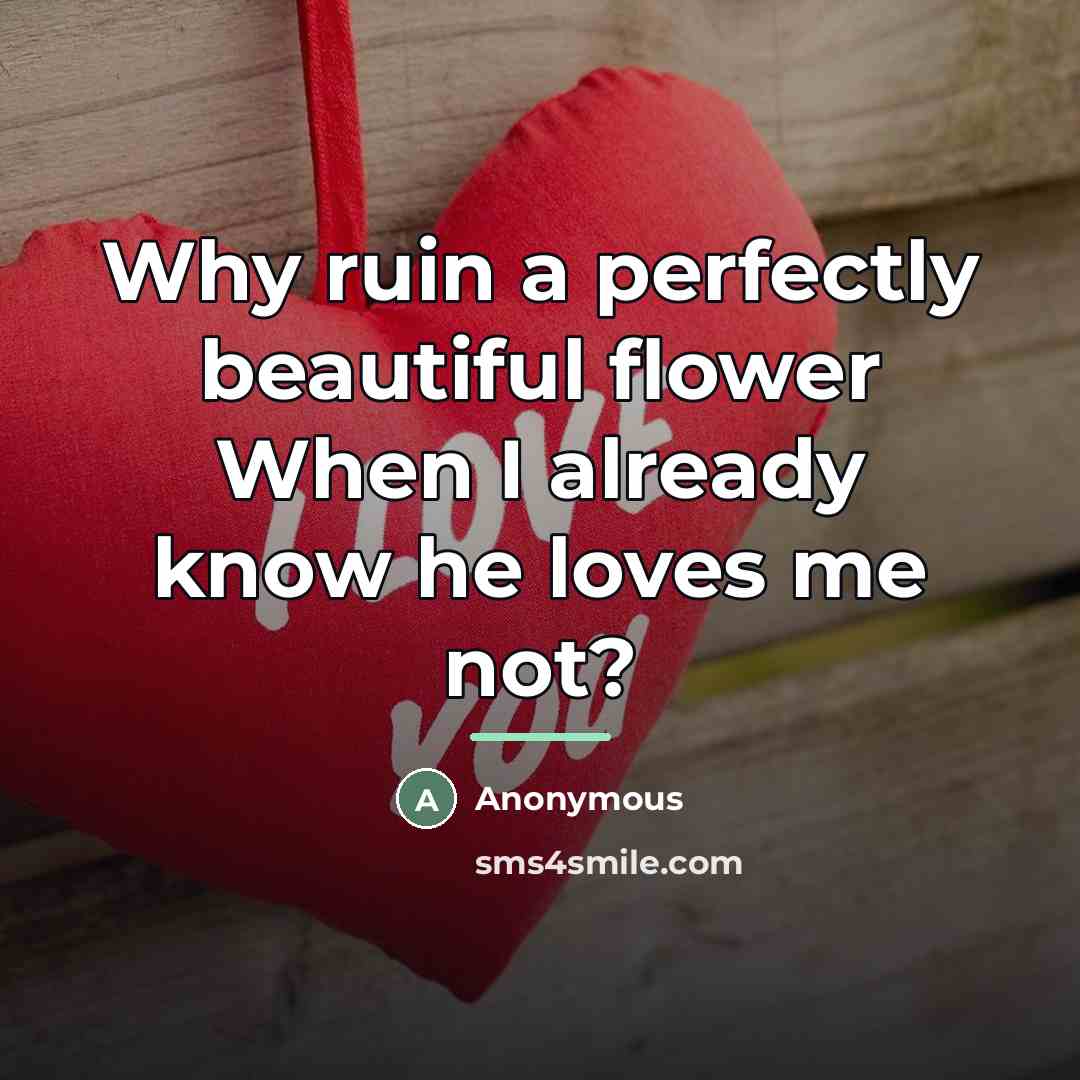 “Why ruin a perfectly beautiful flower When I already know…” quote by Anonymous