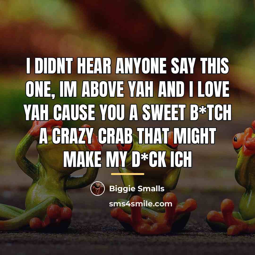 “I didnt hear anyone say this one, im above yah…” quote by Biggie Smalls