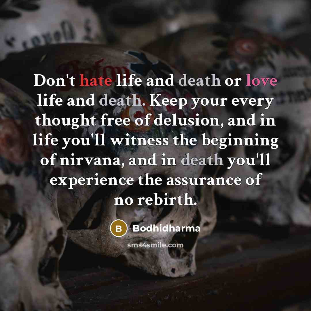 “Don't hate life and death or love life and death.…” quote by Bodhidharma