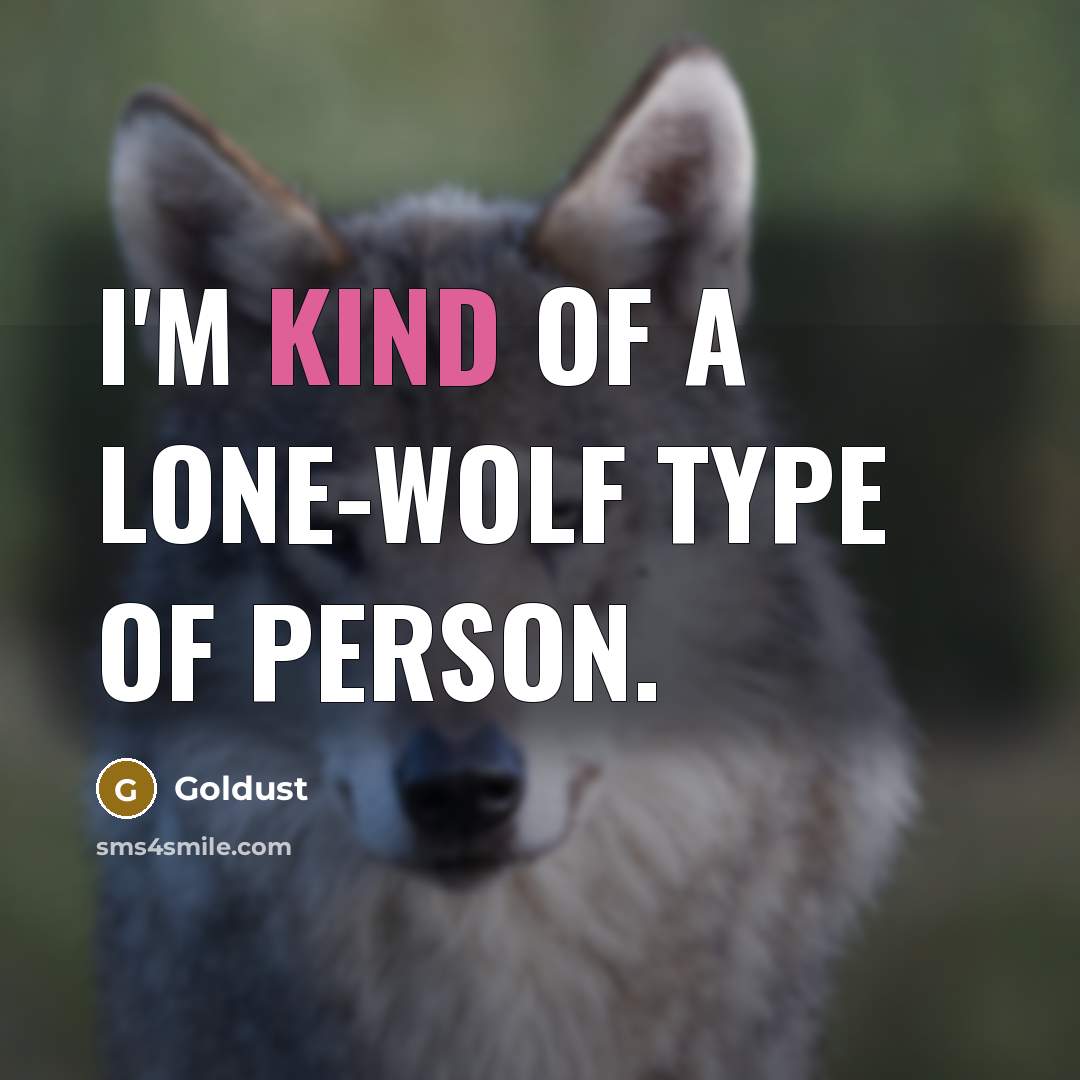 “I'm kind of a lone-wolf type of person.…” quote by Goldust