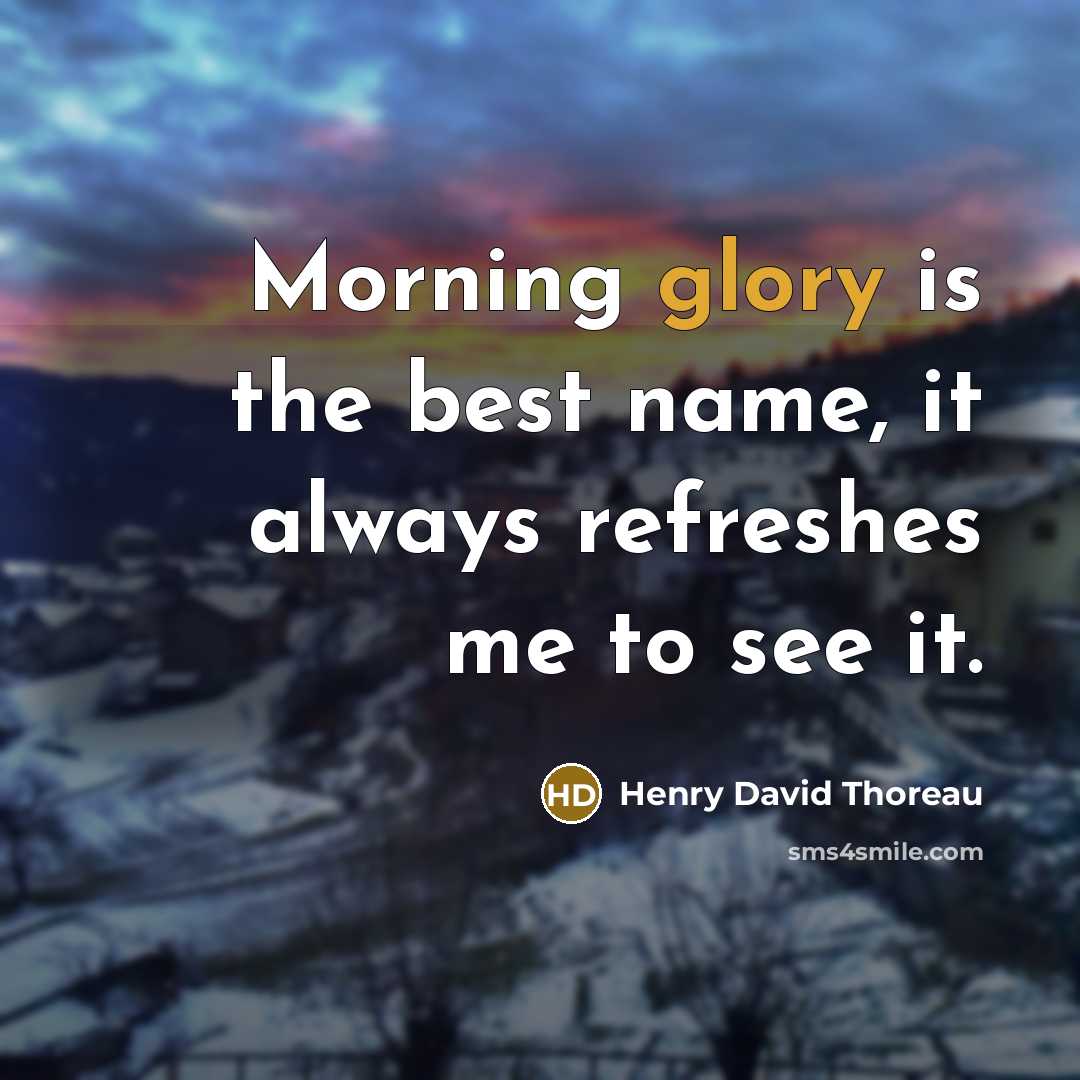 “Morning glory is the best name, it always refreshes me…” quote by Henry David Thoreau