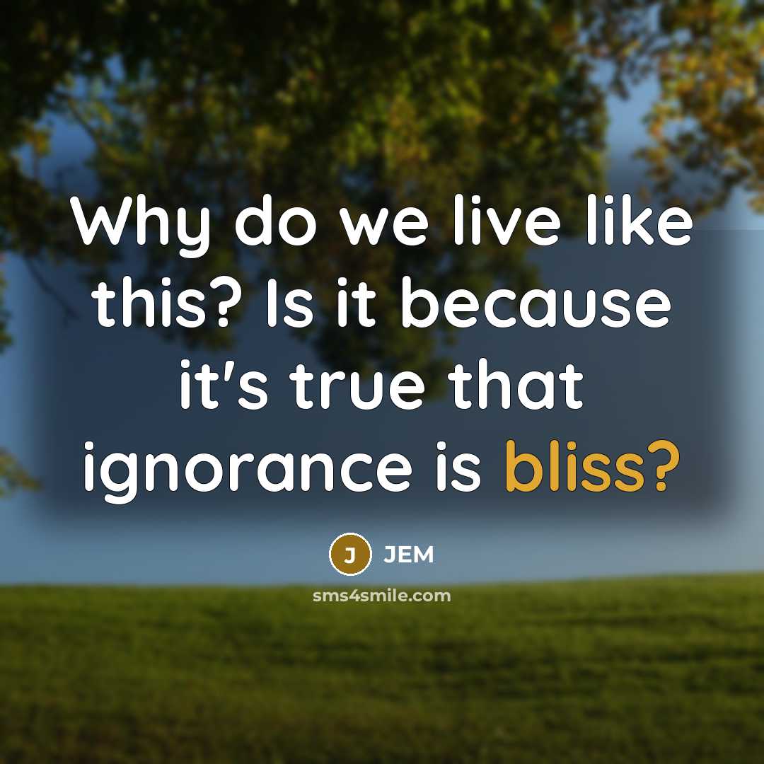 “Why do we live like this? Is it because it's…” quote by Jem
