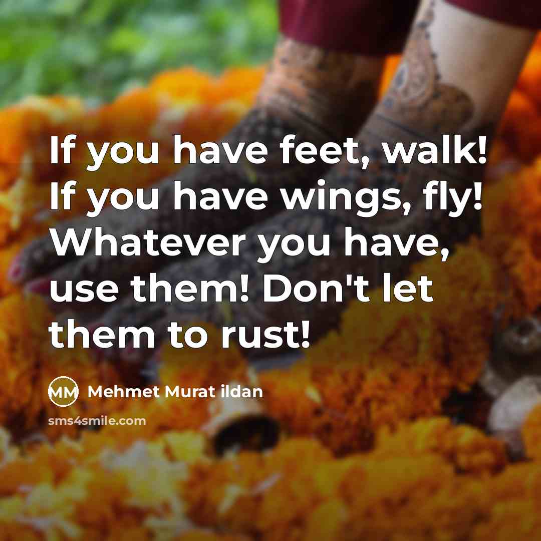 “If you have feet, walk! If you have wings, fly!…” quote by Mehmet Murat Ildan