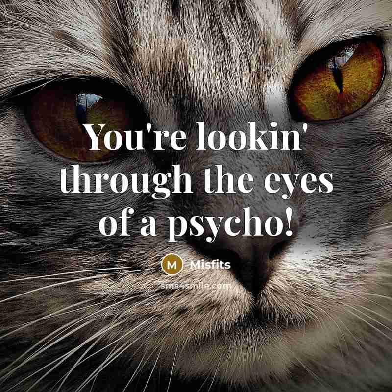 “You're lookin' through the eyes of a psycho!” quote by Misfits