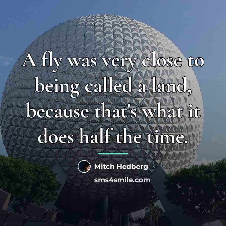 “A fly was very close to being called a land,…” quote by Mitch Hedberg