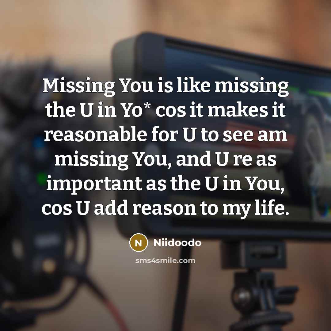 “Missing You is like missing the U in Yo* cos…” quote by Niidoodo
