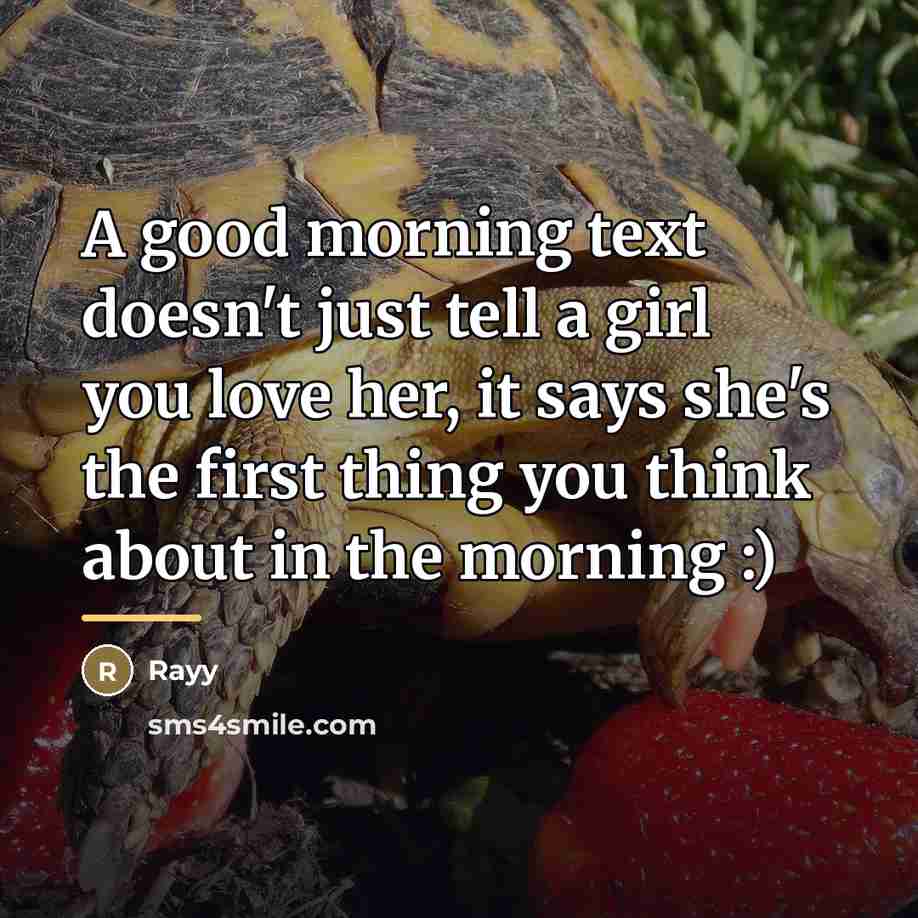 “A good morning text doesn't just tell a girl you…” quote by Rayy