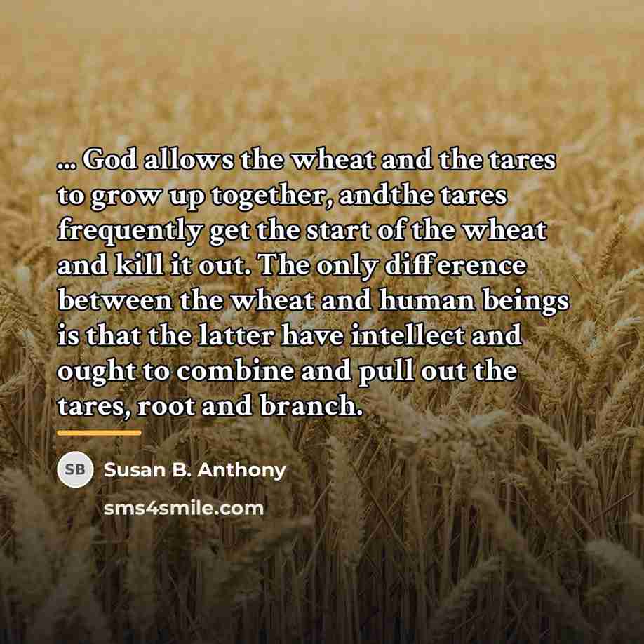 “... God allows the wheat and the tares to grow…” quote by Susan B. Anthony