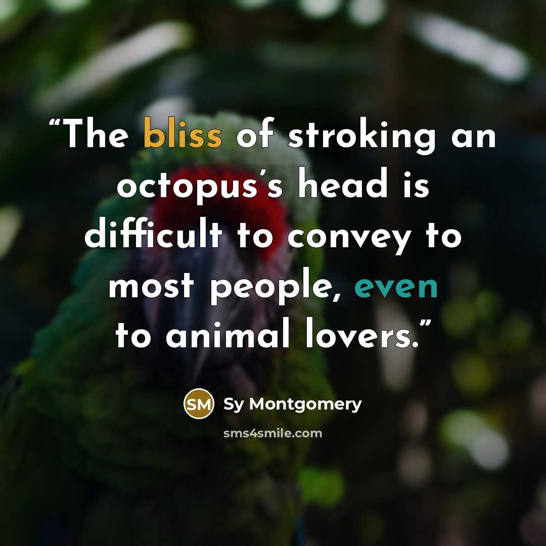 “The bliss of stroking an octopus’s head is difficult to convey to most people, even to animal lovers.” quote by Sy Montgomery