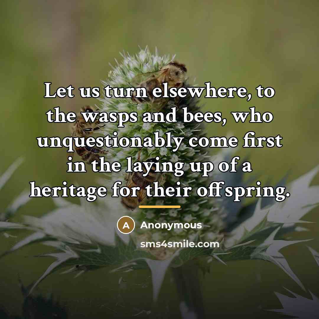 “Let us turn elsewhere, to the wasps and bees, who…” quote by Anonymous