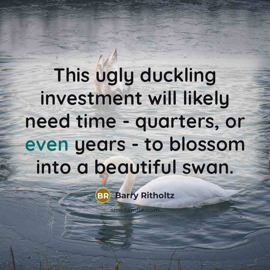 “This ugly duckling investment will likely need time - quarters,…” quote by Barry Ritholtz
