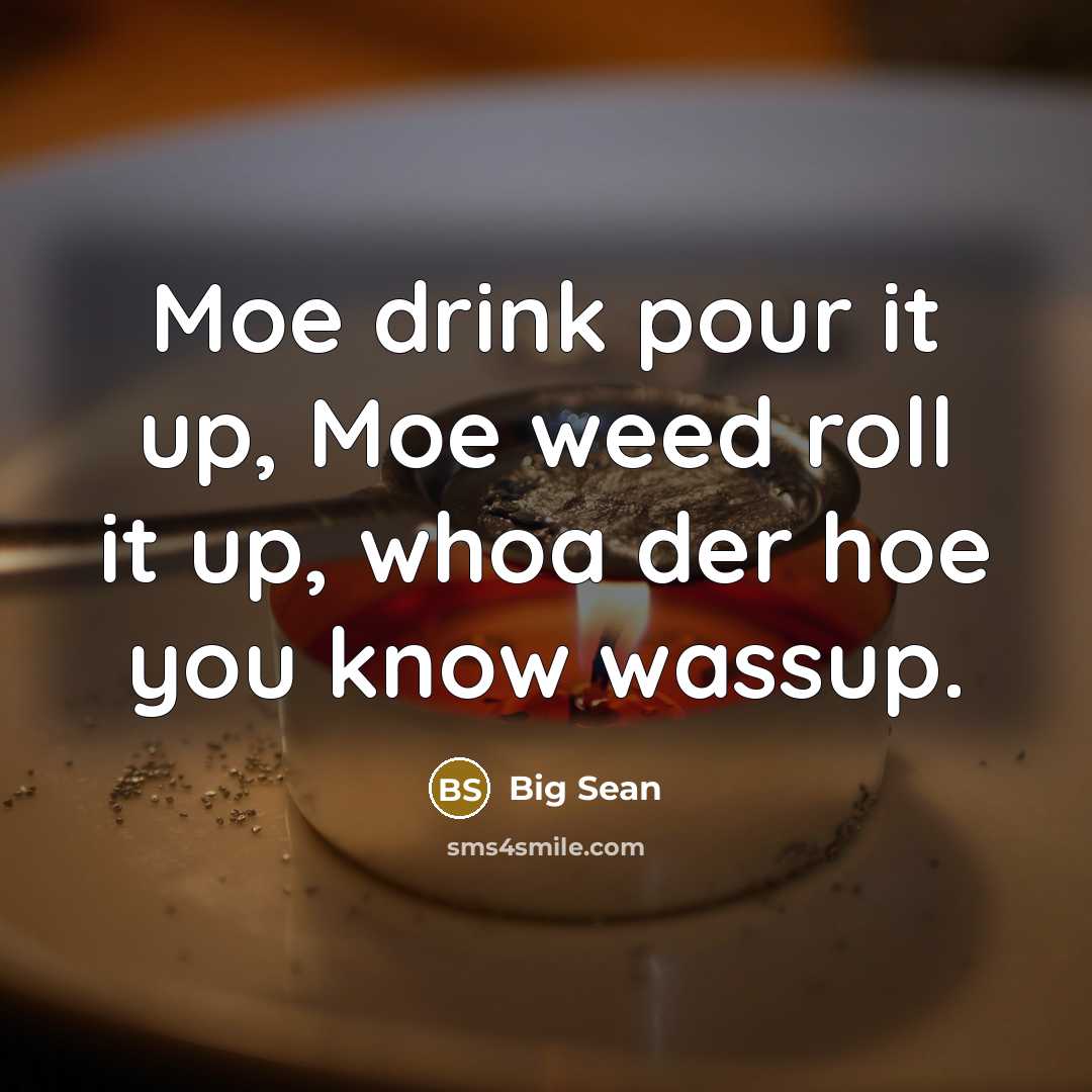 “Moe drink pour it up, Moe weed roll it up, whoa der hoe you know wassup.” quote by Big Sean
