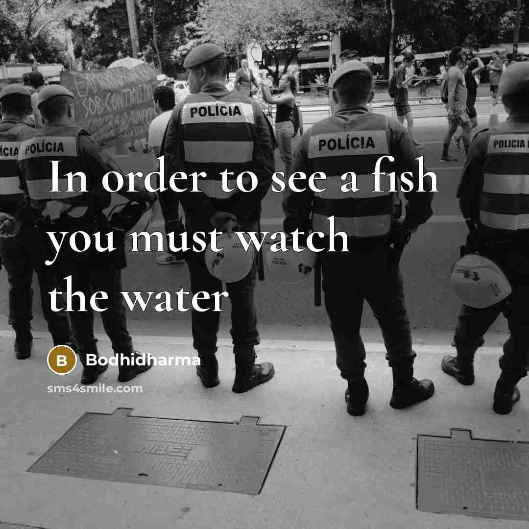 “In order to see a fish you must watch the…” quote by Bodhidharma