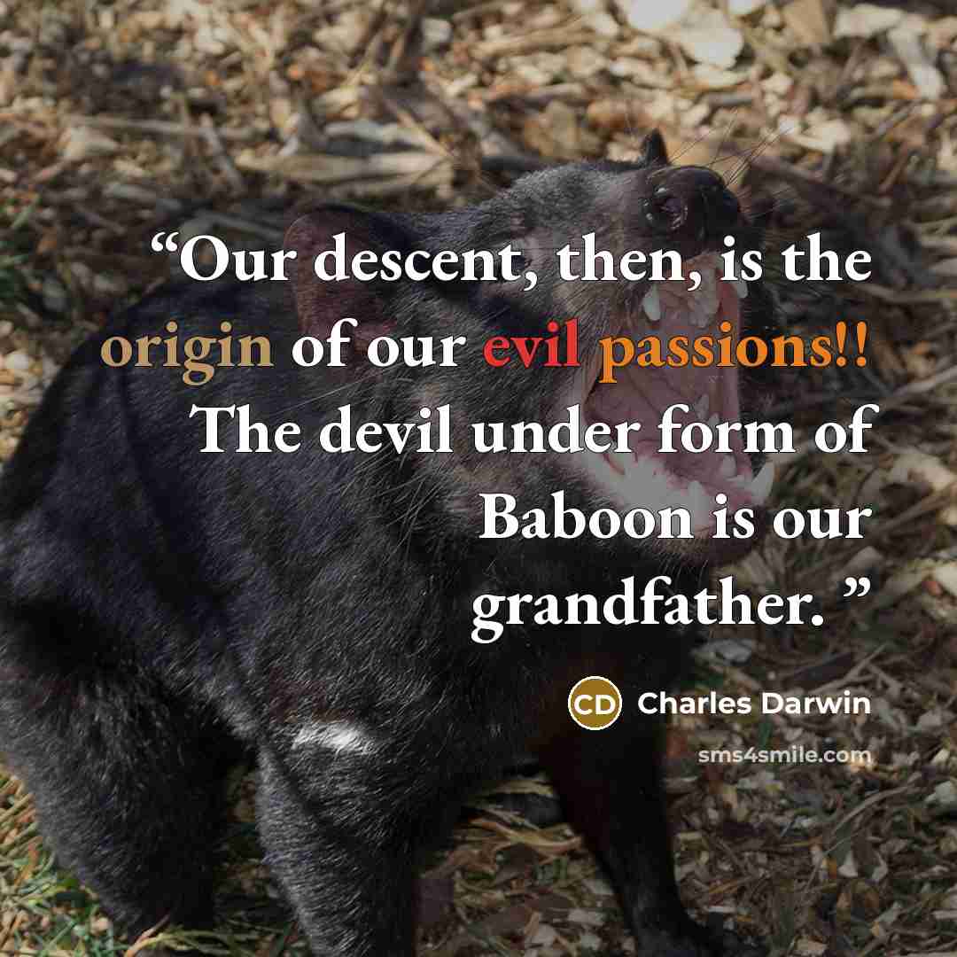“Our descent, then, is the origin of our evil passions!! The devil under form of Baboon is our grandfather.” quote by Charles Darwin