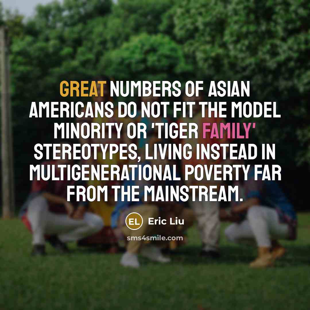 “Great numbers of Asian Americans do not fit the model…” quote by Eric Liu
