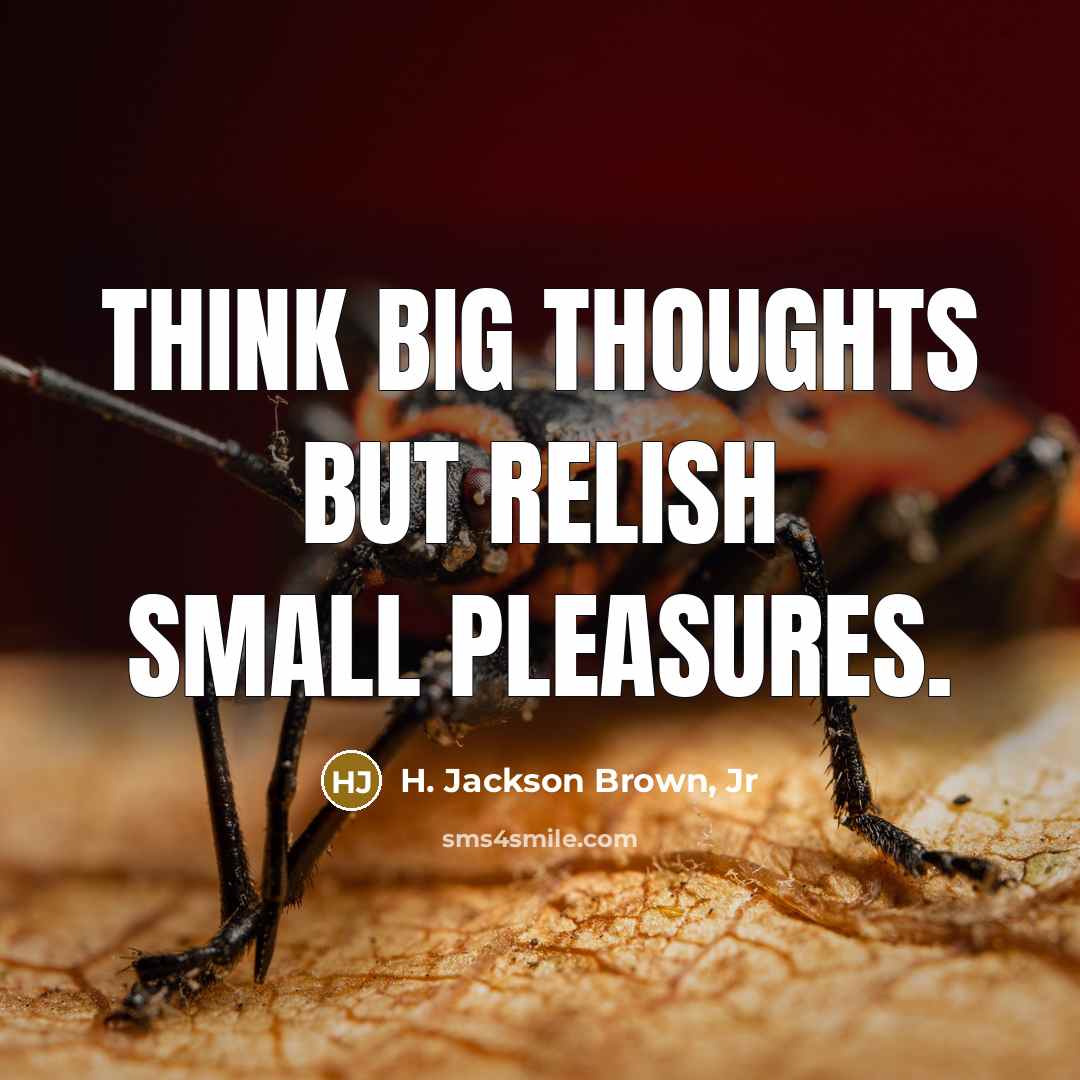 “Think big thoughts but relish small pleasures.…” quote by H. Jackson Brown, Jr