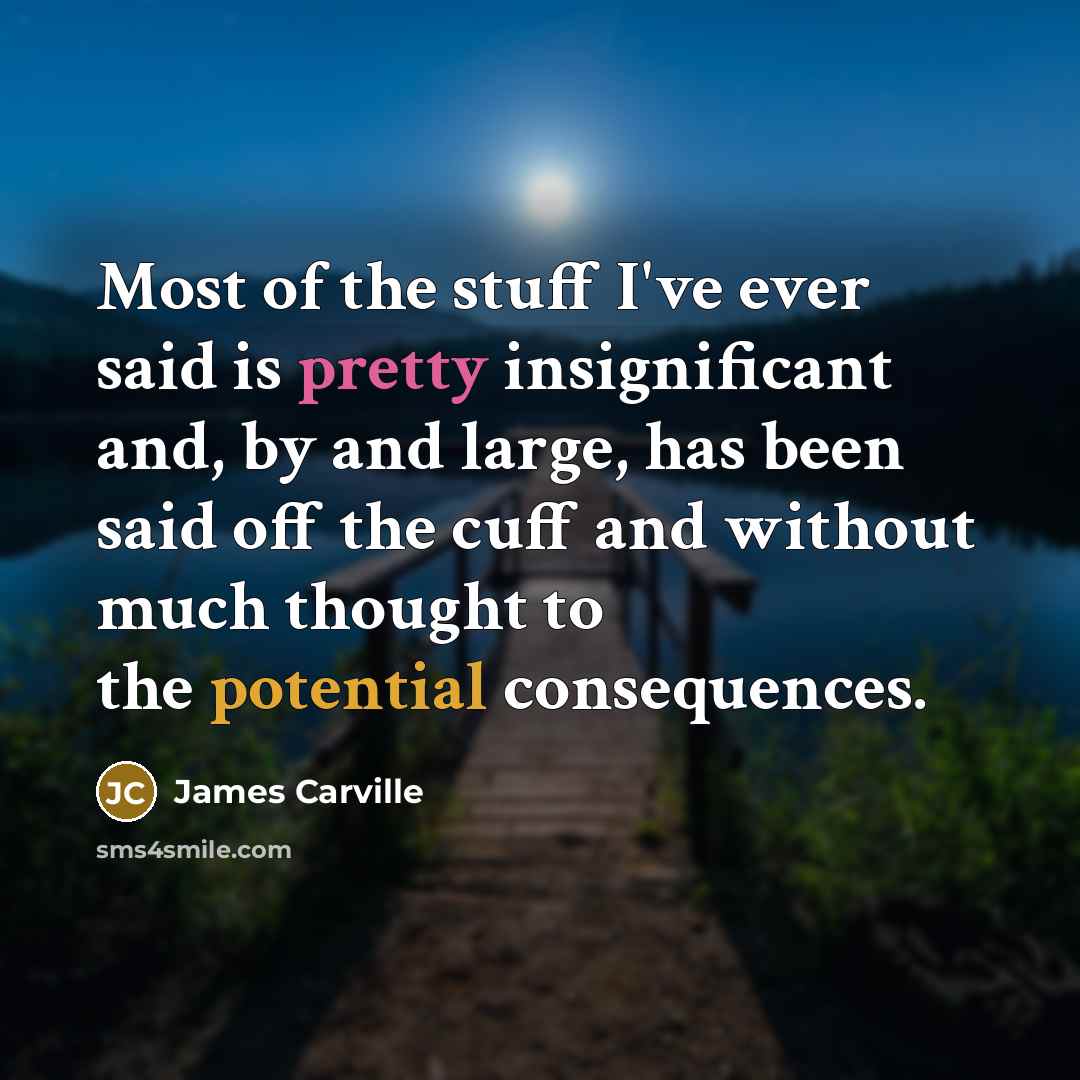 “Most of the stuff I've ever said is pretty insignificant…” quote by James Carville