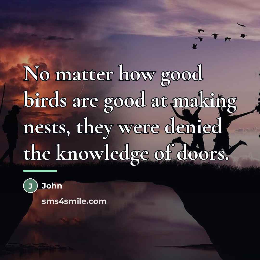 “No matter how good birds are good at making nests,…” quote by John