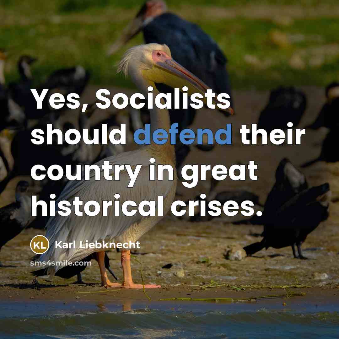 “Yes, Socialists should defend their country in great historical crises.…” quote by Karl Liebknecht