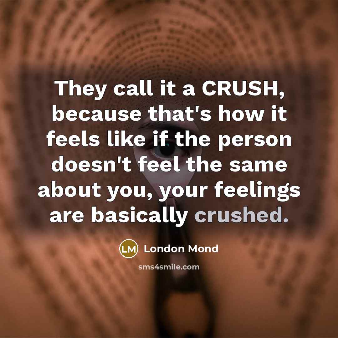 “They call it a CRUSH, because that's how it feels…” quote by London Mond