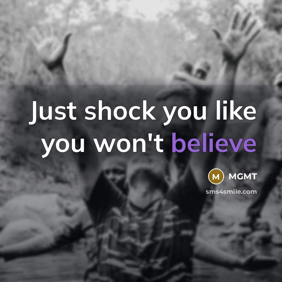 “Just shock you like you won't believe” quote by MGMT