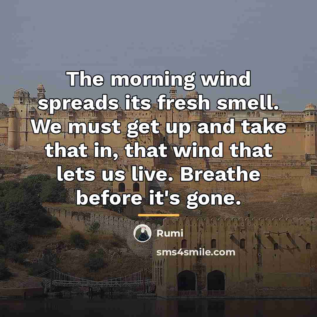 “The morning wind spreads its fresh smell. We must get…” quote by Rumi