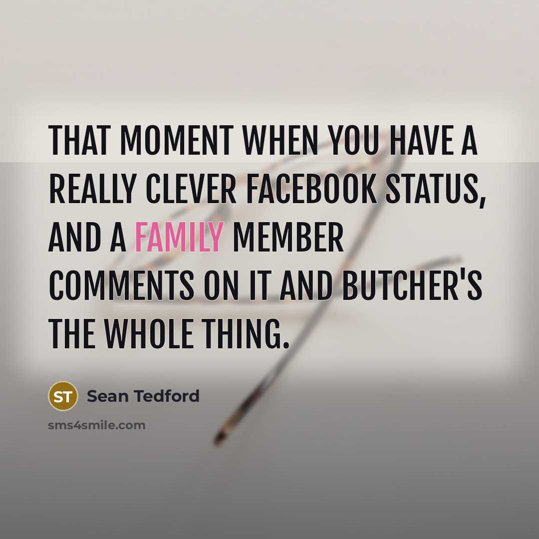 “That moment when you have a really clever facebook status, and a family member comments on it and butcher's the whole thing.” quote by Sean Tedford