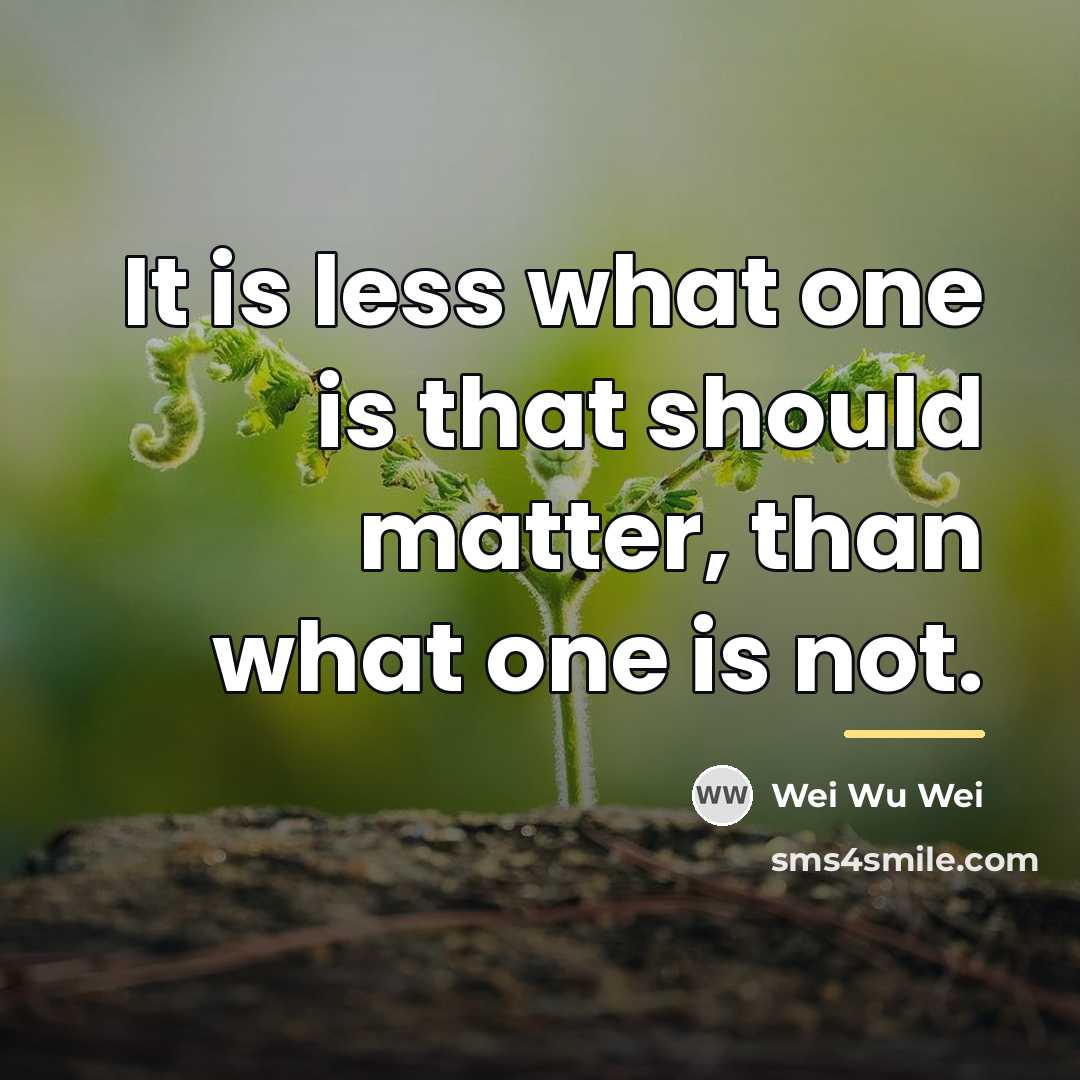 “It is less what one is that should matter, than…” quote by Wei Wu Wei