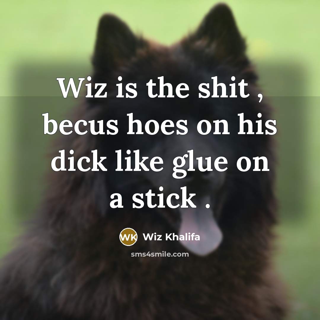 “Wiz is the shit , becus hoes on his dick…” quote by Wiz Khalifa