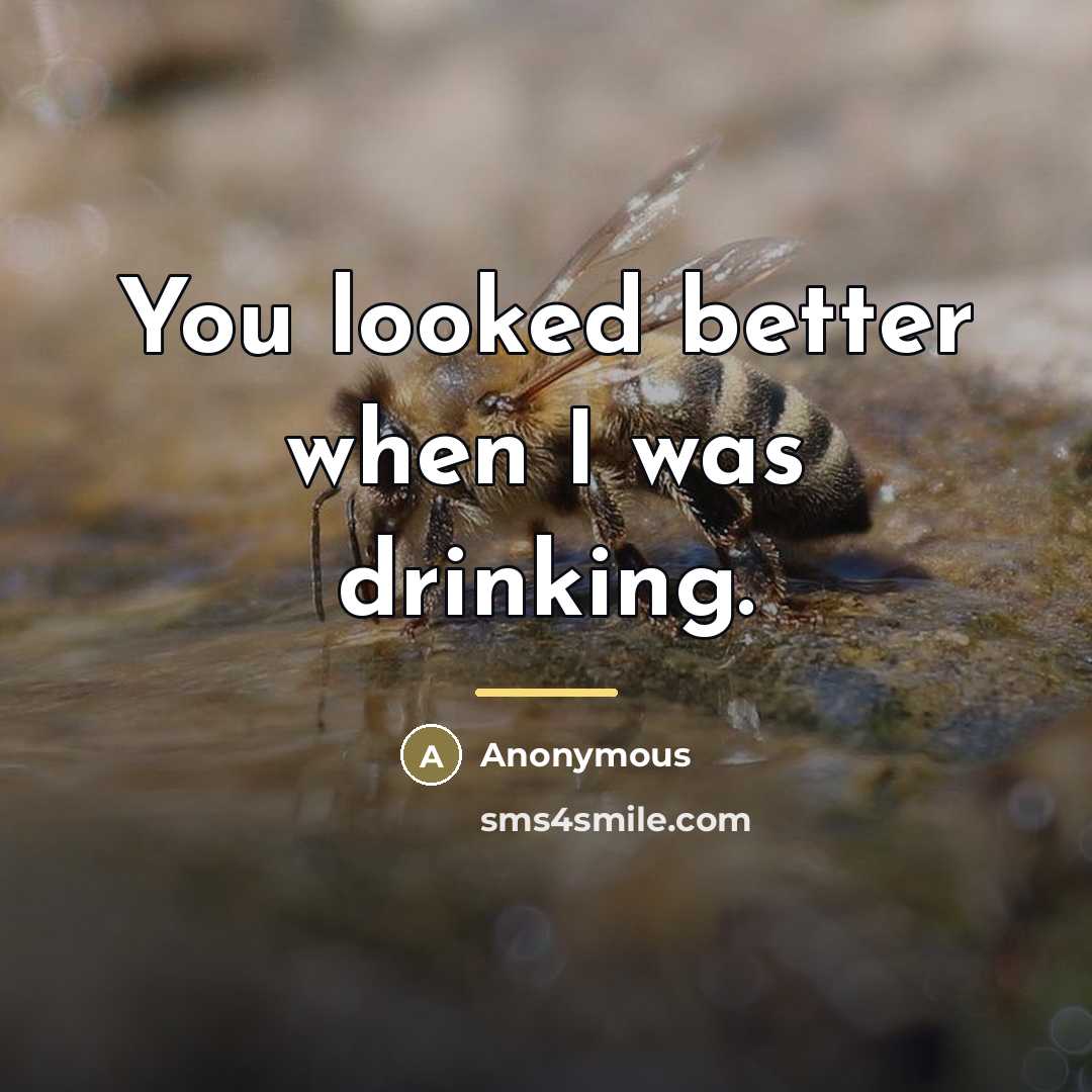 “You looked better when I was drinking.…” quote by Anonymous