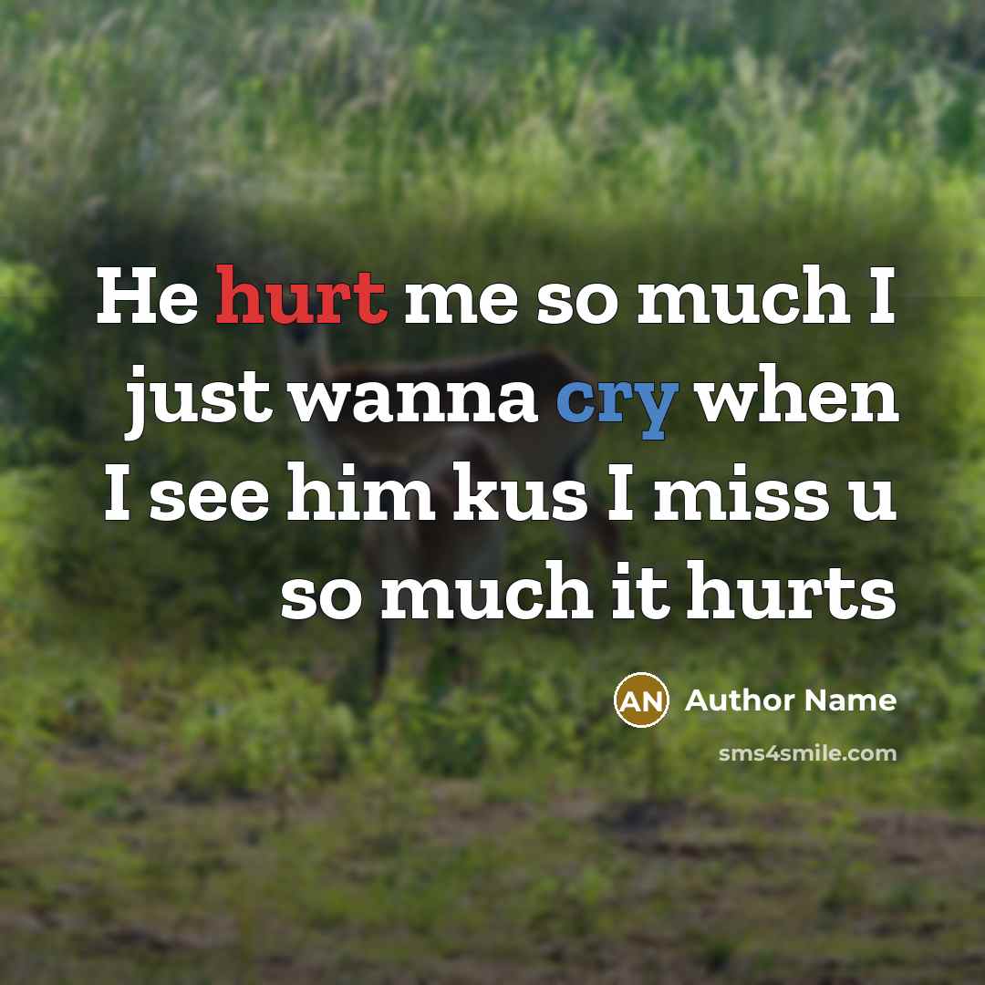 “He hurt me so much I just wanna cry when…” quote by Author Name