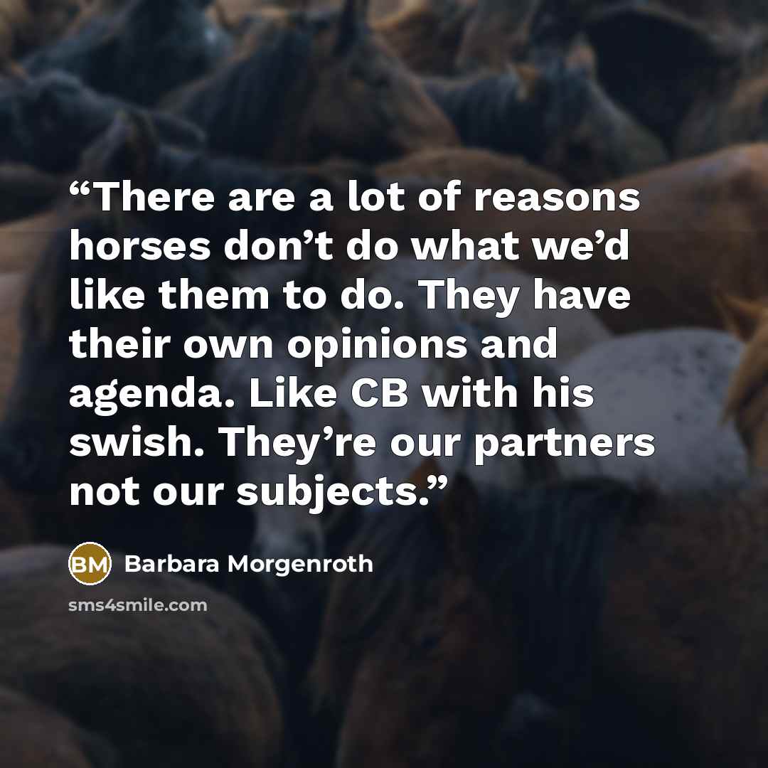 “There are a lot of reasons horses don’t do what we’d like them to do. They have their own opinions and agenda. Like CB with his swish. They’re our partners not our subjects.” quote by Barbara Morgenroth